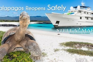 Galapagos Reopens Safely