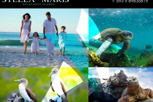 Galapagos, an amazing destiny for family and kids!